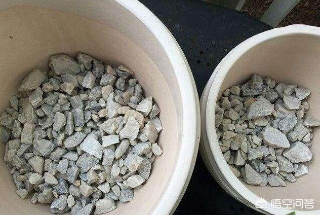 花土里加火山石:花盆有点深底下垫什么好呢？