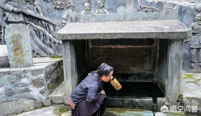 神奇八卦井:“换花草”有科学依据吗？贵州占里村的生育现象如何科学的解释？