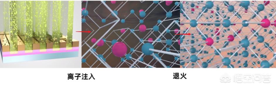 造物弄人:造物弄人还是上天注定为何拿破仑和希特勒都折戟俄国