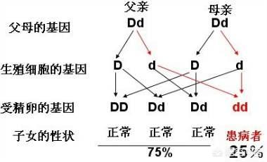 枣庄狼的寿命:狼的寿命为什么比狗高一倍？