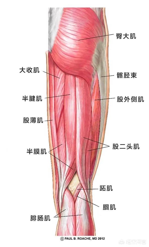 头条问答 普通人怎么练成一字马 纵子小纵子的回答 0赞