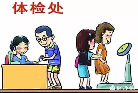 人体五脏六腑分布图(身体五脏六腑结构图)