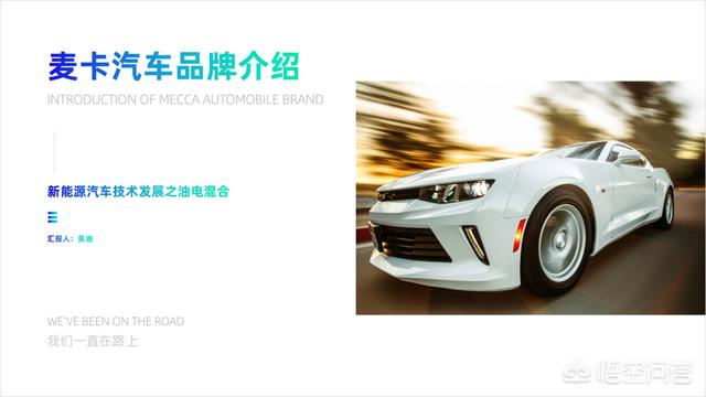 多彩鹦鹉设计素材:宝蓝迷你鹦鹉背景纸选什么颜色好？