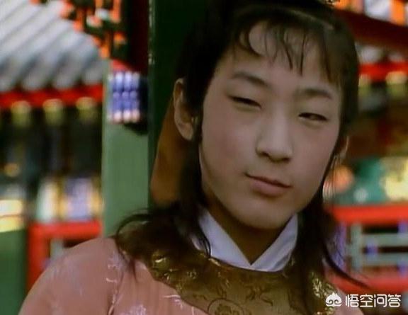 贾环的扮演者（王蔚）凭一股蔫坏劲儿入选红楼，偶然成就经典，30年后他怎么样了？