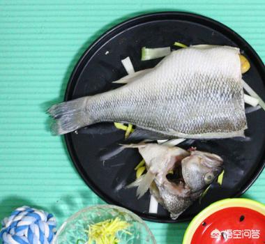 清蒸鱸魚的做法步驟如下:輔料:蔥1根,姜5片,蒸魚豉油1勺,豆油1勺,枸杞