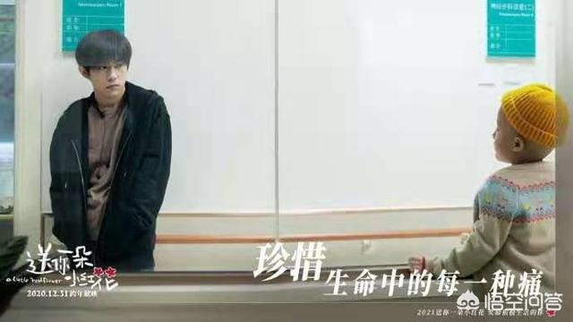送你一朵小红花演员表:你觉得《送你一朵小红花》拍的怎么样
