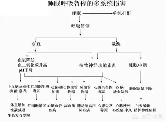 每天睡觉都打呼噜是怎么回事:男人睡觉都会打呼噜吗？为什么？