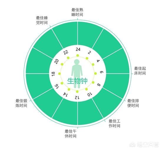 9岁小宠后最新章节:暑假快过去了，孩子们都要收收心了，家长们如何做的呢？