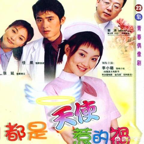 李小璐演过的电视剧:李小璐演过哪些经典的角色，你认为她的演技如何
