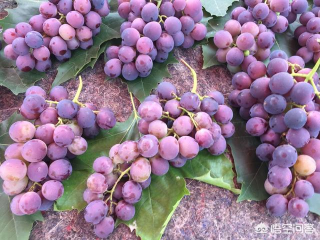 今年中秋你在哪？开心吗？