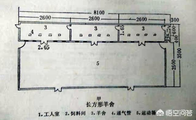 公羊兔兔舍的建造:北方养羊羊圈怎么设计合理？