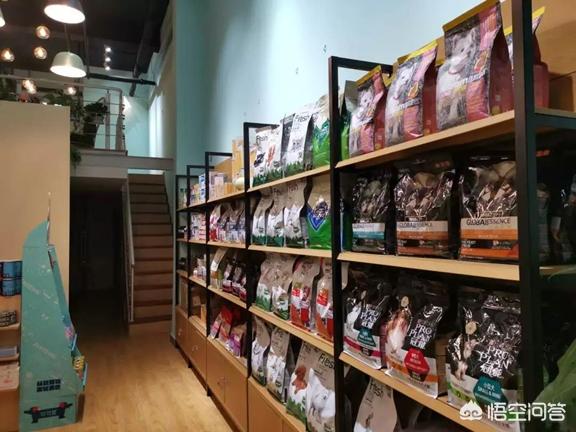 另类宠物店创业方案阳光巴士:阳光巴士宠物店怎么创业 哪里有另类宠物的一手货源渠道呢？