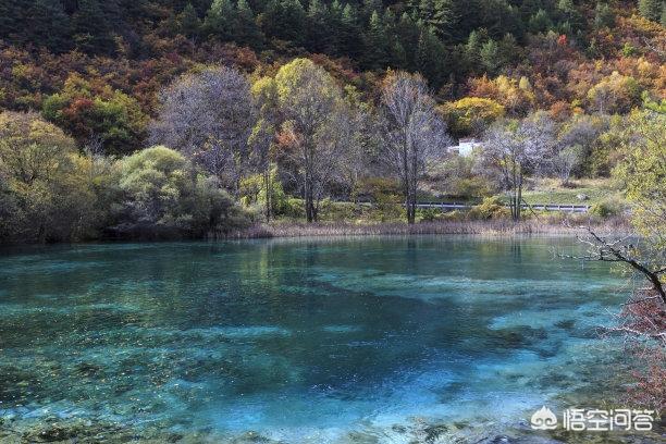 九寨沟旅游心得(九寨沟旅游心得体会)