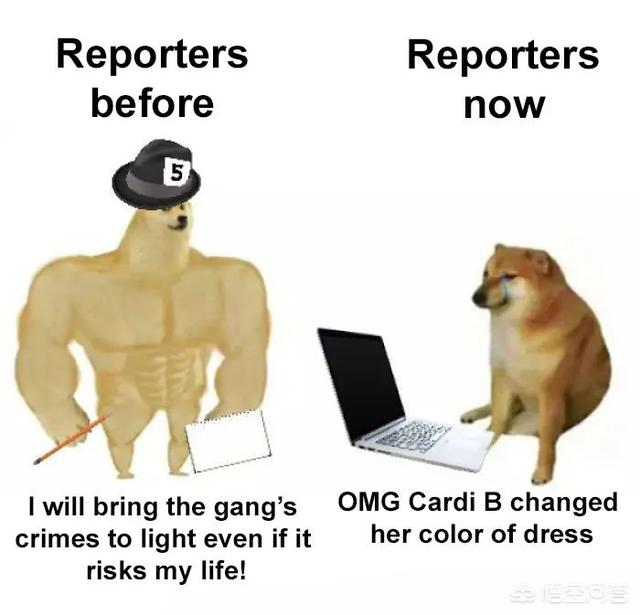 神烦狗doge抱枕3d图片下载:Doge还有哪些表情包？