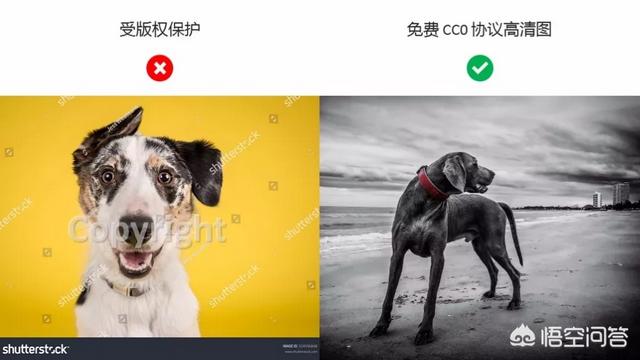 新手做PPT有哪些常见的误区