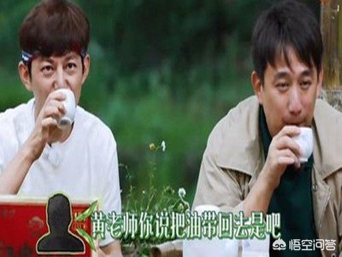 黄磊简历个人简介:黄磊辞掉了大学教授的职务，你觉得他这样做傻吗