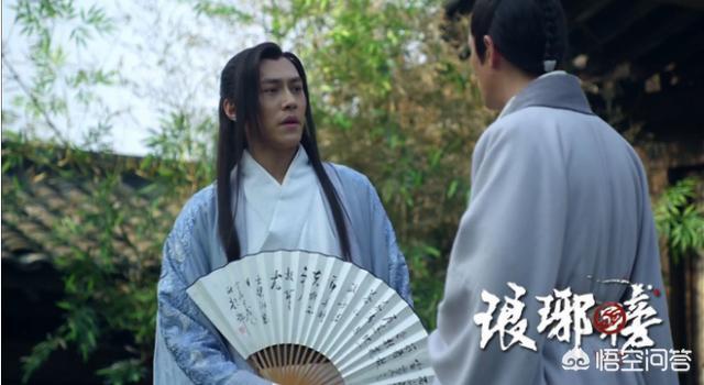 飞流的身世:《琅琊榜》飞流身上有什么秘密？他为何武功高心智却极低？