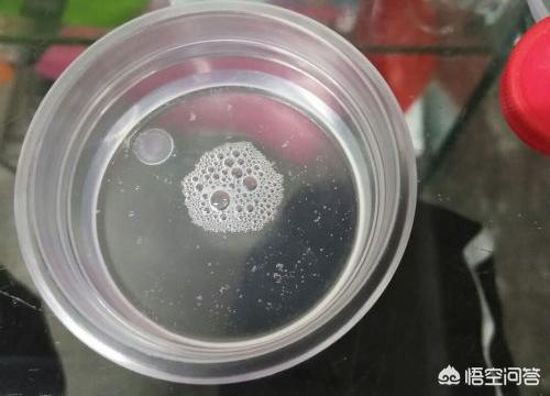 怎样做水晶泥,水晶泥不用硼砂的制作方法？