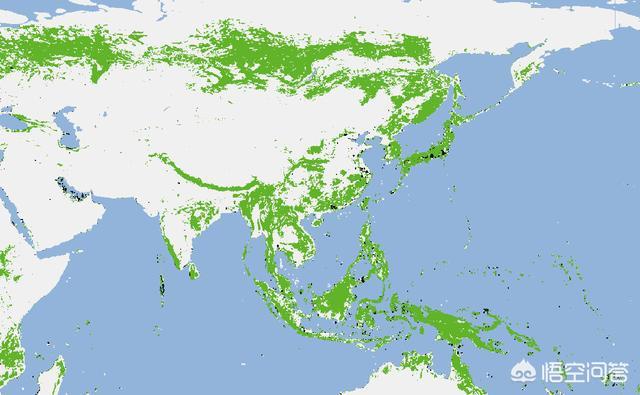 我国森林面积局世界第几位，我国森林覆盖率远低于日本，为什么别人说我国做的更出色