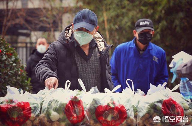 庚子年的灾难:有哪位大神能讲讲历史中的庚子年有什么大事发生过