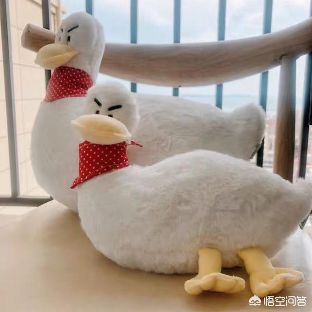 邹奇奇:你见过最猥琐的人有多猥琐？