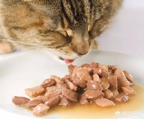 猫罐头:猫咪适合吃罐头类食品吗？为什么？