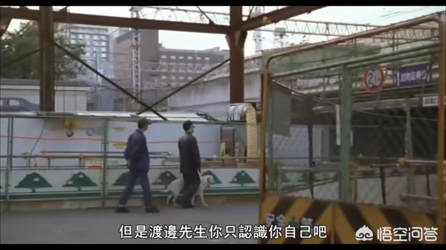 导盲犬小q下载:导盲犬小Q下载 如何评价日本电影《导盲犬小Q》？