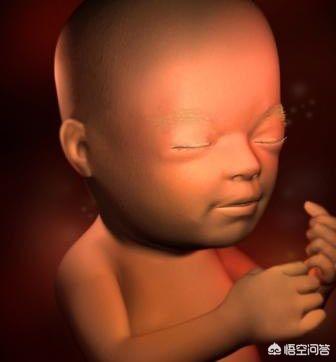 怀孕21周的胎儿是什么样的?-亲子学习网-专注亲子教育成长问题