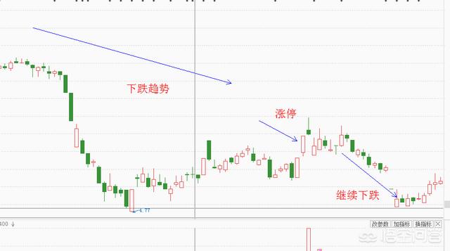 真龙被首次发现:日本瑞龙寺的真龙标本，为何明令禁止鉴定真假其中隐藏什么猫腻