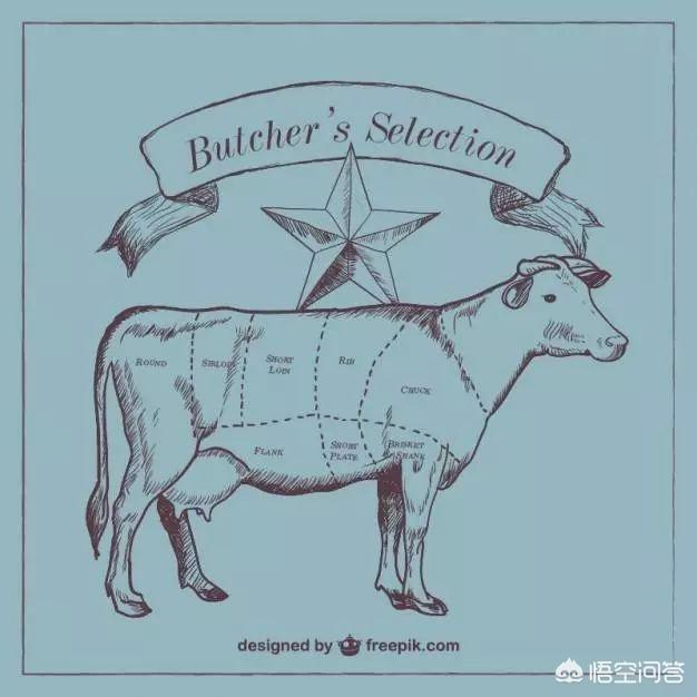 狗宠物零食加工:为什么现在的一些宠物狗宠物猫只能吃猫粮狗粮？ 狗狗宠物零食工厂