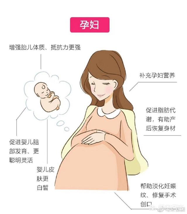 怀孕几个月吃燕窝比较好，燕窝要煮多久？怀孕几个月才能吃燕窝？