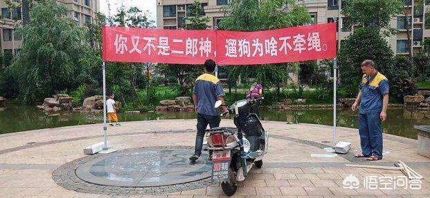 广州市养犬管理条例禁止:养犬不登记遛狗不牵绳，广州警方依规处理362人, 你怎么看？ 南京市养犬管理条例 禁止养的犬