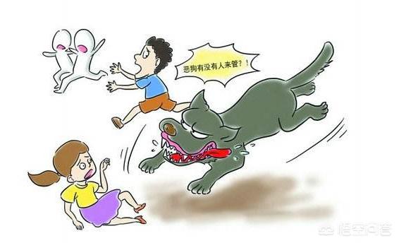 广州市养犬管理条例禁止:养犬不登记遛狗不牵绳，广州警方依规处理362人, 你怎么看？ 南京市养犬管理条例 禁止养的犬