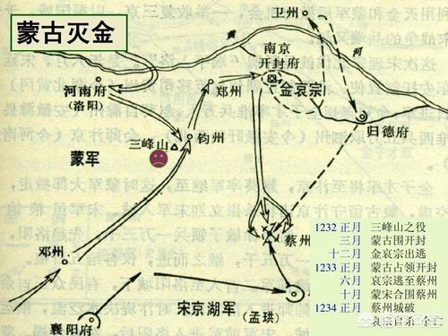 长春燕京獒园2012幼獒:同为元朝所灭，为何宋金两朝战败后的待遇截然不同？