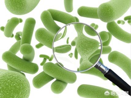 秋季谨防感染性腹泻:为什么一到秋天，孩子就扎堆腹泻？