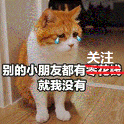 微信取什么名字最好听:大家都给猫取了什么有趣的名字(给猫猫取名字大全)
