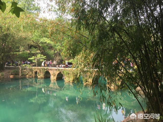云南观鸟会:怎么去潞江坝百花岭（高黎贡山）观鸟？有什么推荐和建议的？ 云南观鸟视频