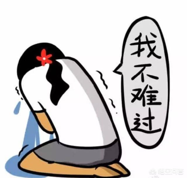 适合单身人士的微信头像有什么推荐