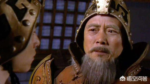 长平之战的结果证明赵括是废物,廉颇也被打的亳无还手之力,那么谁做统帅最合适？