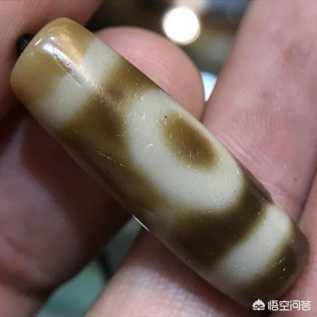 庆阳个人藏獒出售:在农村养殖，养什么才能收获最大利？