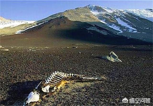 昆仑死亡谷:昆仑山被称为“地狱之门”是因为有3000高斯的强磁性吗？