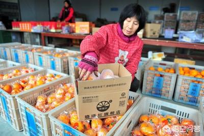 轿车宠物运输当日达准点到达:私家车在很多二线城市很普遍，为什么上海很多家庭没有私家车呢？