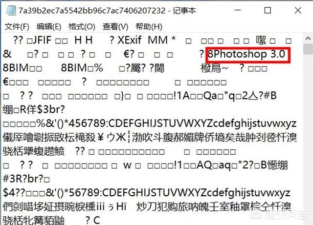 加拿大新发现蒙淘克怪兽:到底有没有麒麟这种生物？