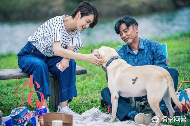 导导肓犬小q电影:导盲犬小q电影完整版 看过《小Q》后，你觉得影片中哪一幕最让你感动？