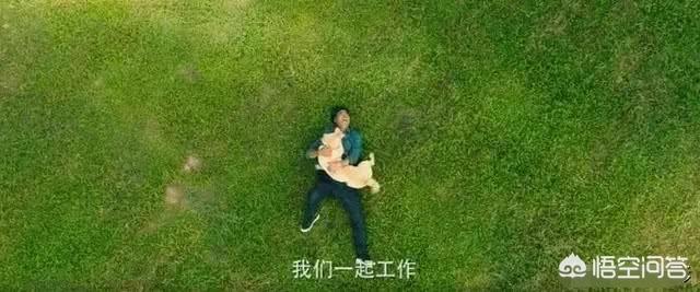 导导肓犬小q电影:导盲犬小q电影完整版 看过《小Q》后，你觉得影片中哪一幕最让你感动？