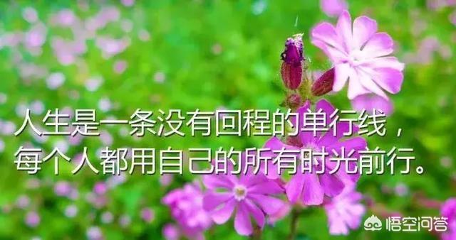 适合所有情绪发的朋友圈句子:有哪些心情语录朋友圈转发率最高的说说？