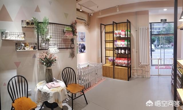 宠物店加盟排行:广州宠物店加盟排行是什么？ 宠物店加盟排行榜