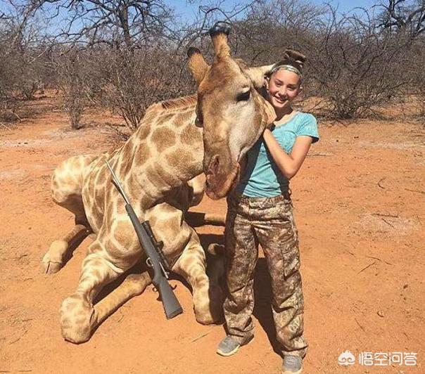 史德拉海牛的生活环境:假设人类灭亡了，几亿年后人会不会再次出现在地球上？