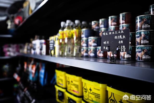广州宠物美容店:广州宠物店加盟品牌排名？