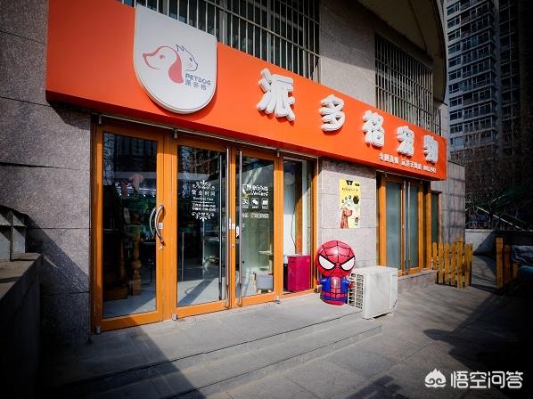 上海宠物猫专卖店:宠物店加盟品牌上海哪家好？